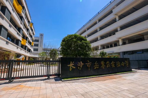梅溪湖教育再升级 新增3600个学位,两所优质学府携手共绘教育新蓝图