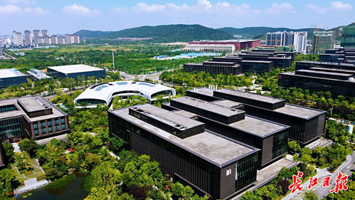 武汉力争建成1 2家全球灯塔工厂,加快形成未来工厂梯队