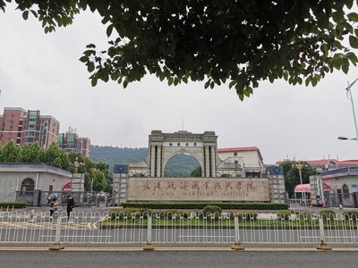 武汉三日不过江 | 打卡太累?那就这样吧