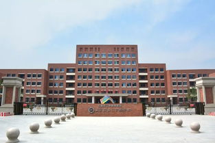 遇见石门,遇见改变 2019级新生国防教育心路日记选编