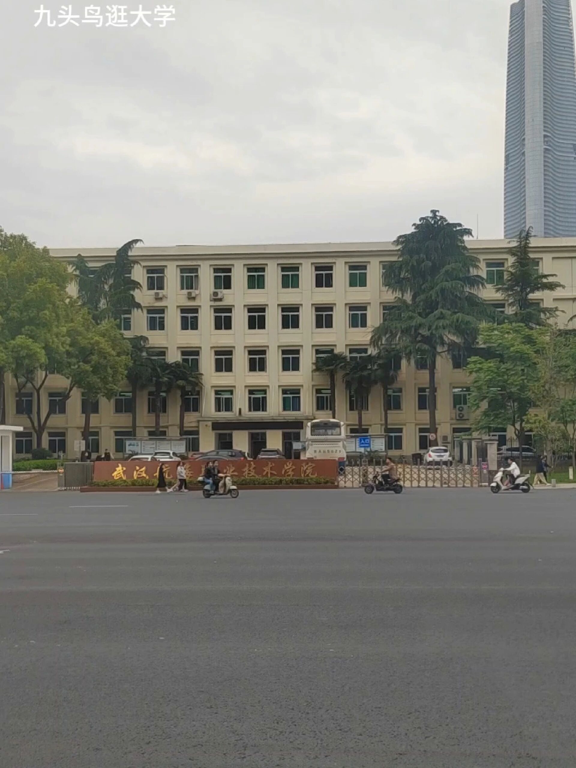武汉航海职业技术学院 公办大学专科,源自1