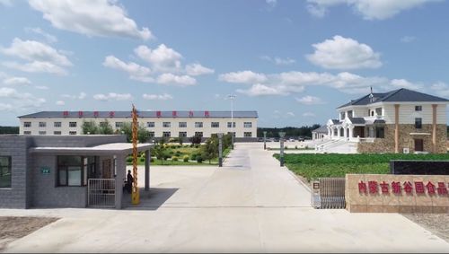 北京交通大学 智绘农品 实践团探访内蒙古新谷园食品公司,共谋乡村振兴新篇章