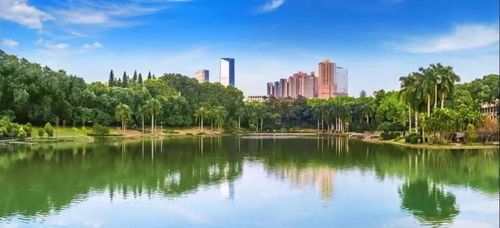 中国最美 海边 大学,你pick哪一所