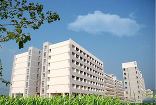 高校装 共享空调 ,用一小时5元,网友 太黑了,一度电才6毛 宿舍