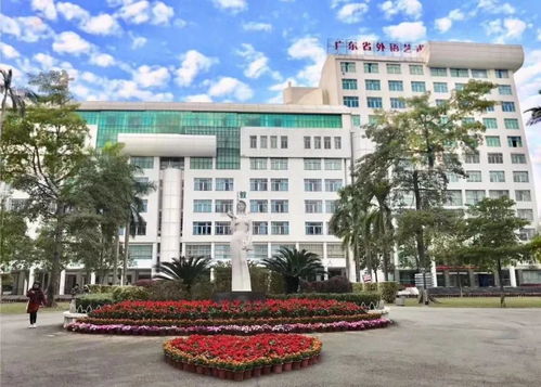 广东外语艺术职业学院高职高考3 分数线 招生计划 全景图 2018 2020年