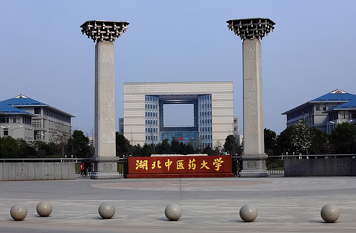 郁金香 武汉航海职业技术学院的自然馈赠