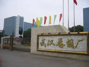 被遗忘的航标 武汉航海学院的沉浮与武昌区的命运交织